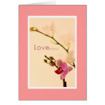 Amorío del amor de la orquídea tarjeton