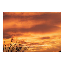 Ampliación de la foto de la puesta del sol de Fire