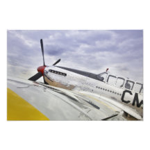 Ampliación de la foto del mustango P51