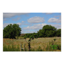 Ampliación de la foto del pasto del país de Kansas