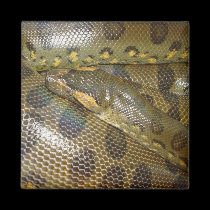 Anaconda verde imanes