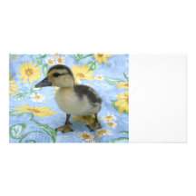 anadón del bebé en el fondo florecido dejado tarjetas fotográficas personalizadas