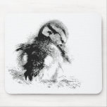 Anadón Mousepad Tapetes De Raton