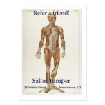 Anatomía anterior tarjeta de negocio