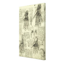 Anatomía de la mano humana de Leonardo da Vinci Impresiones En Lienzo Estiradas