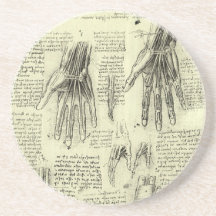 Anatomía de la mano humana de Leonardo da Vinci Posavasos Cerveza