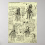Anatomía de la mano humana de Leonardo da Vinci Impresiones