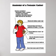 Anatomía de un cacher adolescente poster
