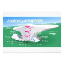Anatomía de un diagrama de la tormenta del Superce Invitacion Personalizada