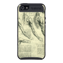 Anatomía Leonardo da Vinci de los músculos del bra