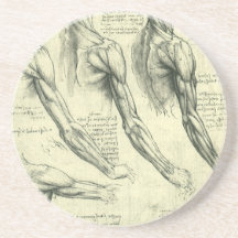 Anatomía Leonardo da Vinci de los músculos del bra Posavasos Diseño