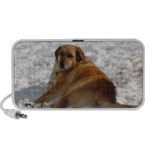 Ángel de la nieve del perrito del golden retriever mini altavoz
