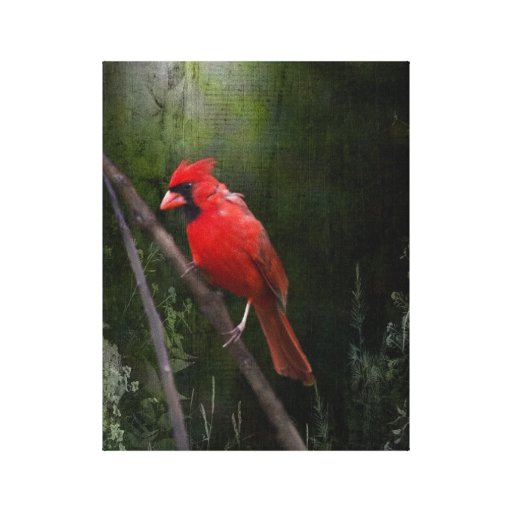 Ángel en rojo impresiones en lona estiradas