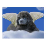 Ángel gris tarjetas postales