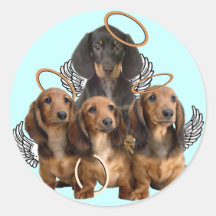 Ángeles del Dachshund Pegatinas