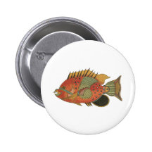 Angelfish rodeado azul pins