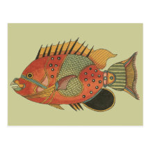 Angelfish rodeado azul tarjeta postal