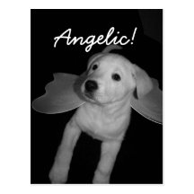 ¡, Angelical!  Postal