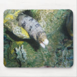 Anguila de Moray Alfombrilla De Raton