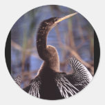 anhinga etiqueta redonda