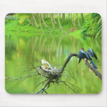 anhinga y bebés tapetes de raton