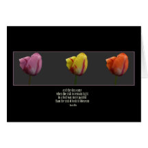 anias_tulips felicitaciones