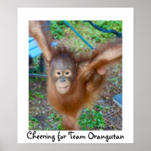 Animadora: Orangután del equipo Posters
