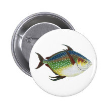 Animal de la vida marina del vintage, pescado trop pins