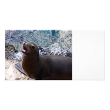 animal de mar lindo de la foto abierta de la boca  tarjeta fotográfica