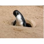 Animal del pájaro del pingüino escultura fotográfica