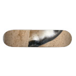 Animal del pájaro del pingüino patinetas personalizadas