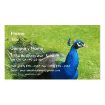 Animal del pavo real plantillas de tarjetas personales