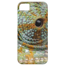 Animal elegante de la MOD del ojo del camaleón iPhone 5 Coberturas