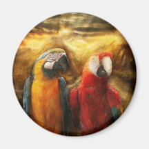 Animal - loro - Loro-dise Imán De Frigorífico