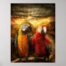 Animal - loro - Loro-dise Posters