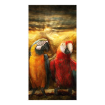 Animal - loro - Loro-dise Tarjeta Personal