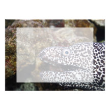 animal manchado del acuario del derecho de la angu invitacion personalizada
