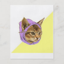 Animal Meme del consejo del gato del gatito del in Tarjetas Publicitarias