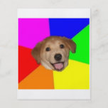 Animal Meme del consejo del perro del consejo Tarjeta Publicitaria