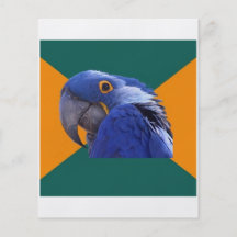 Animal paranoico Meme del consejo del pájaro del l Tarjetas Informativas