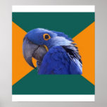 Animal paranoico Meme del consejo del pájaro del l Poster