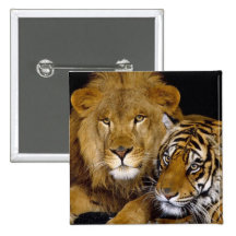Animal Pins