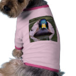 Animal salvaje del pato ropa de mascota