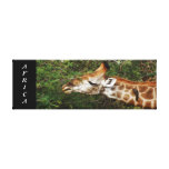 Animales África del safari de la jirafa promociona Impresión En Lona
