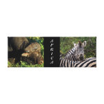 animales África del safari de selva del búfalo de  Lienzo Envuelto Para Galerias