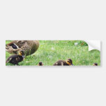 Animales de los patos pegatina de parachoque