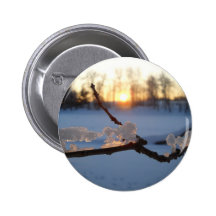 Animales del hielo natural en invierno pin