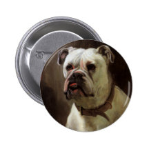 Animales del vintage, retrato del perro de perrito pin
