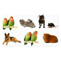 animales tarjetas de negocios