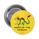 Año chino del dragón pin